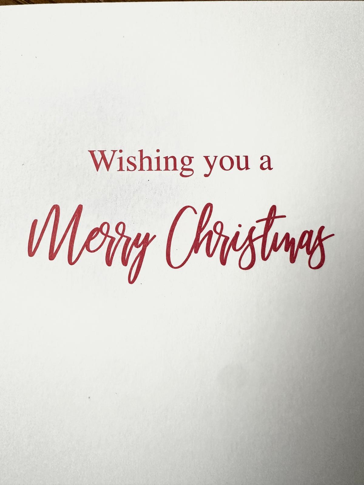 Set of 10 Novelty Christmas Cards