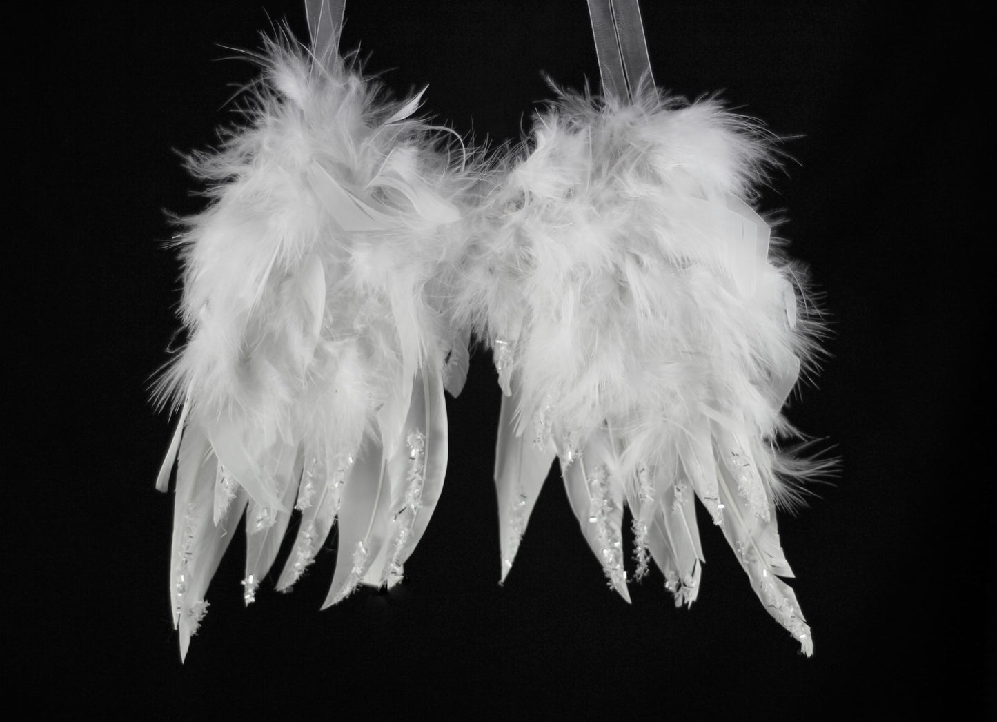 White Fluffy Feather Angel Wings