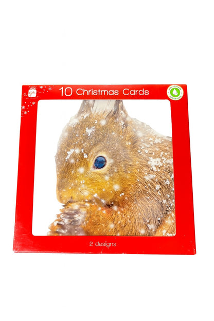 Set of 10 Novelty Christmas Cards