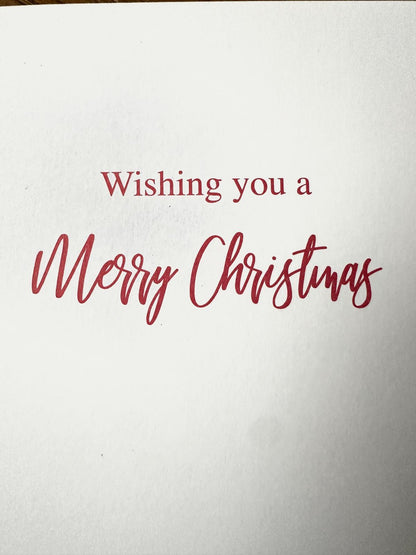 Set of 10 Novelty Christmas Cards