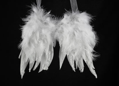 White Fluffy Feather Angel Wings