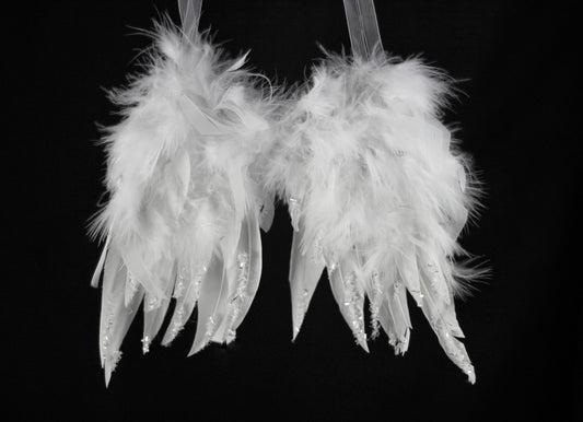 White Fluffy Feather Angel Wings