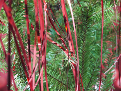 Red Lametta / Foil Tinsel